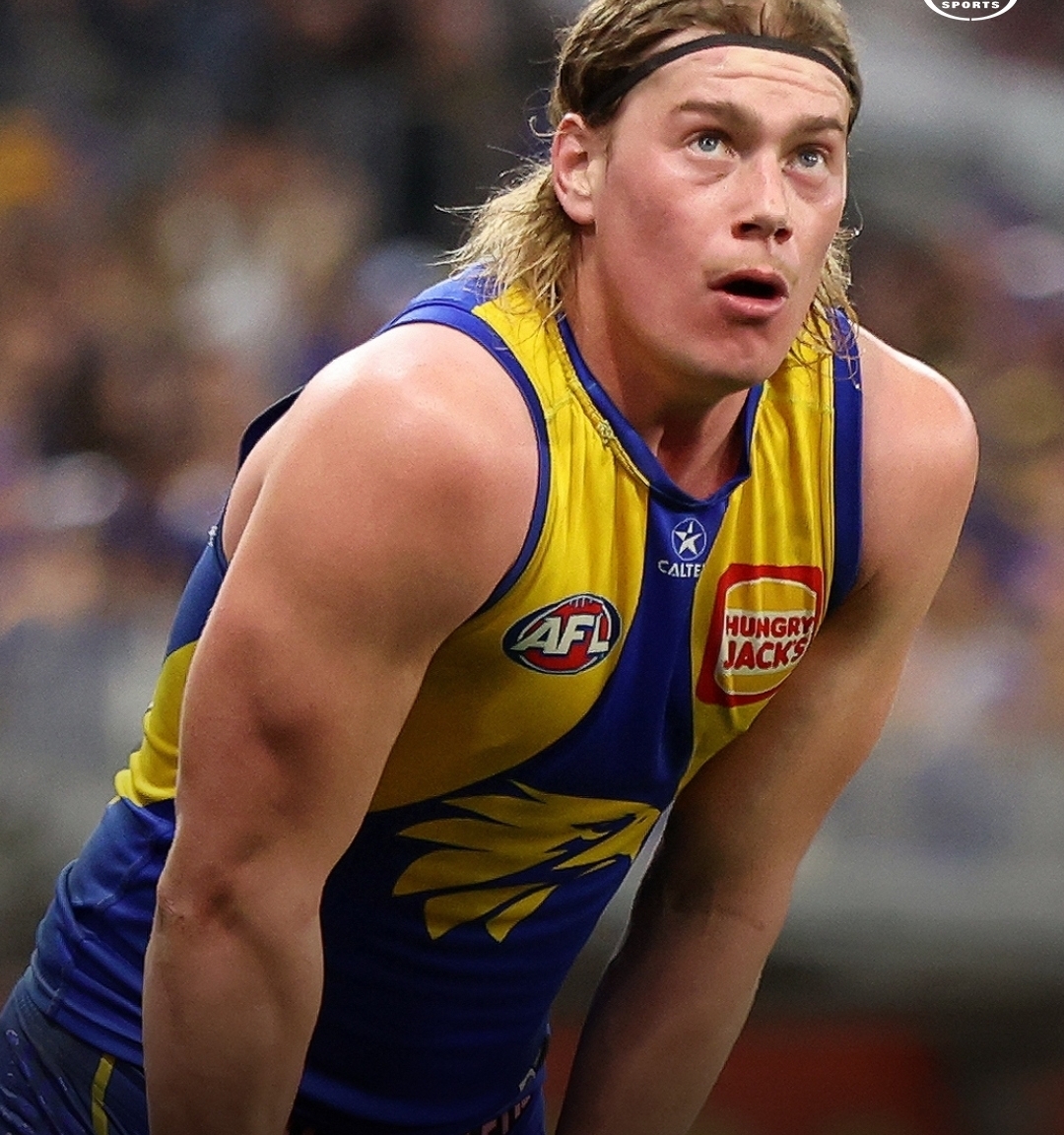 St Kilda’s $25 Million, 12-Year Harley Reid Offer Stuns AFL World