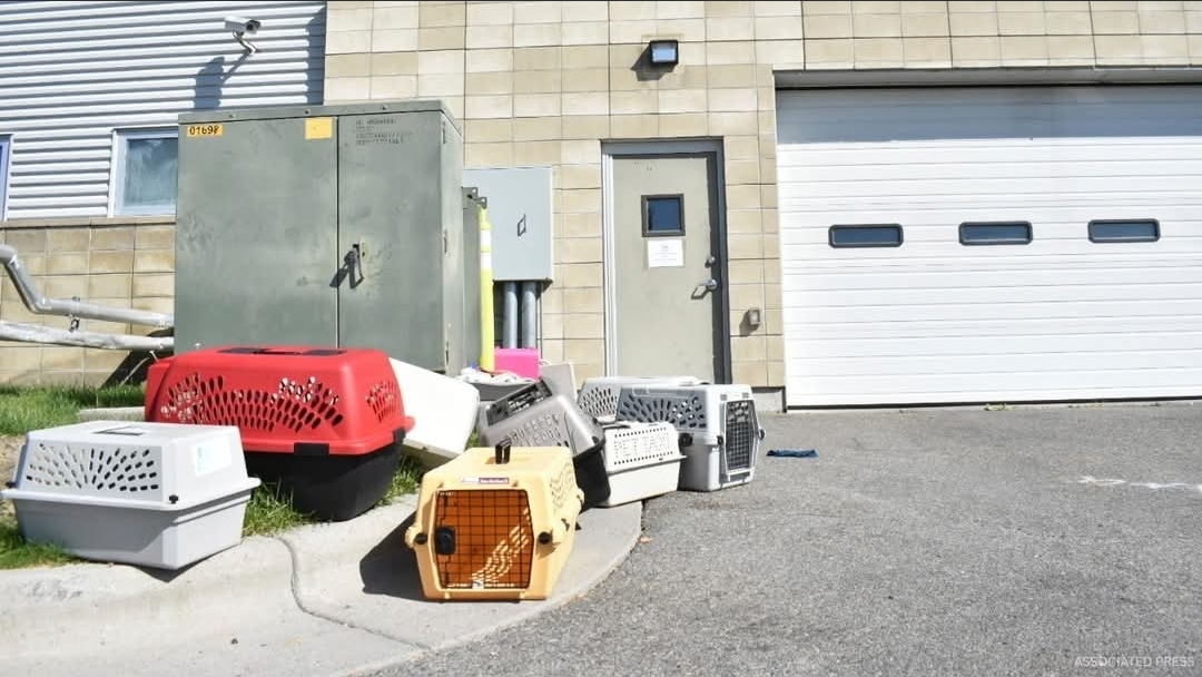 14 Workers Hospitalized After FBI Meth Burn at Montana Animal Shelter